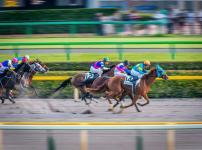 競馬の「サラブレッド」は胃潰瘍になる？という雑学