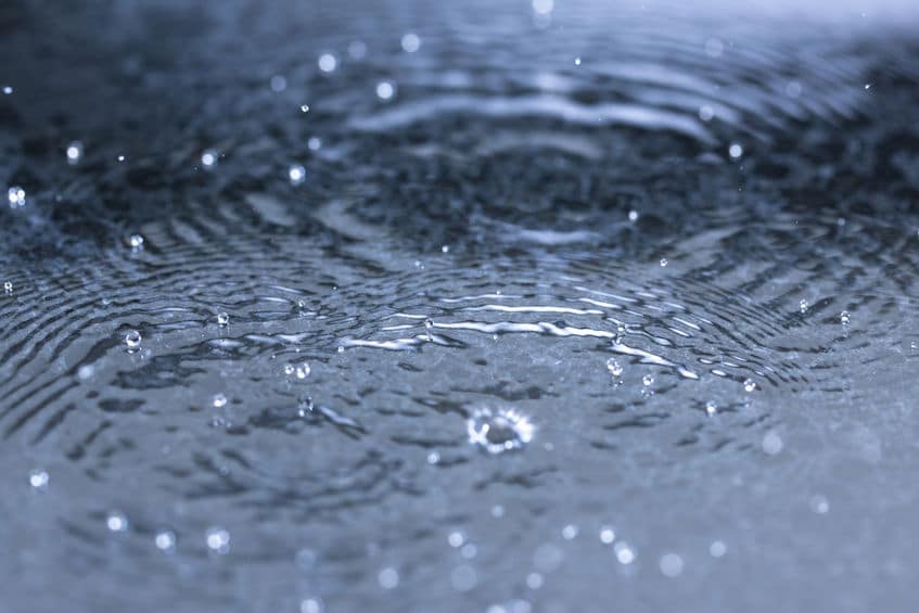 もしも雨が降ってしまったら…というトリビア