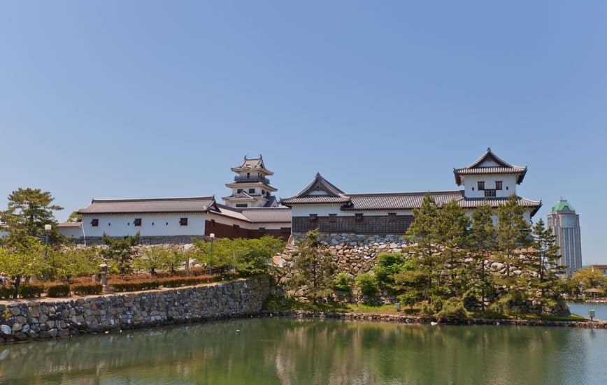 戦国時代の城に重宝された松ノ木