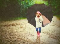 雨をはじかなくなった傘はドライヤーの温風を当てると元に戻るという雑学