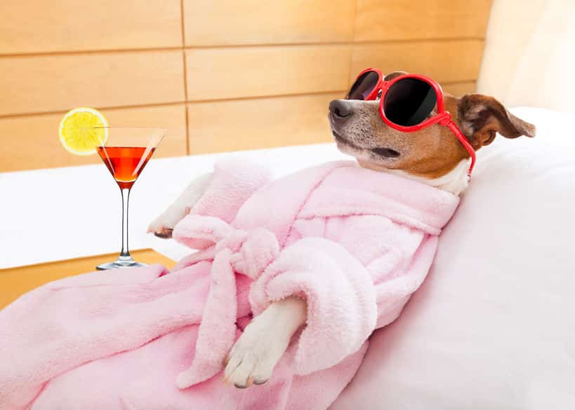 短時間に水は大量に飲めないがお酒は飲むことができる理由という雑学