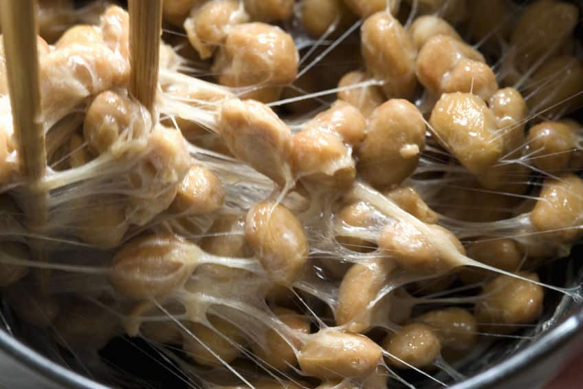 納豆菌の強さは抗生物質なみというトリビア