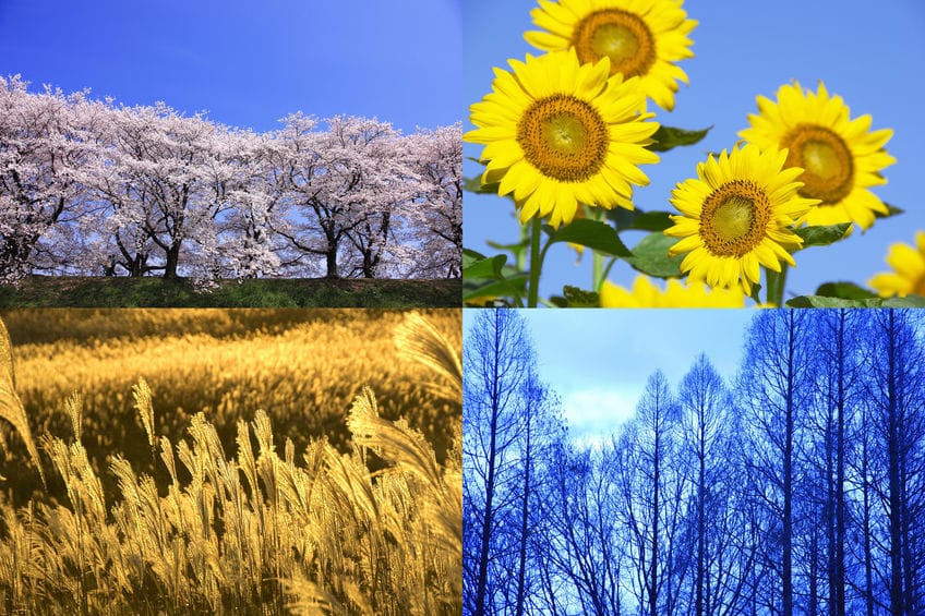 節分とは、季節の変わり目の前日だったというトリビア