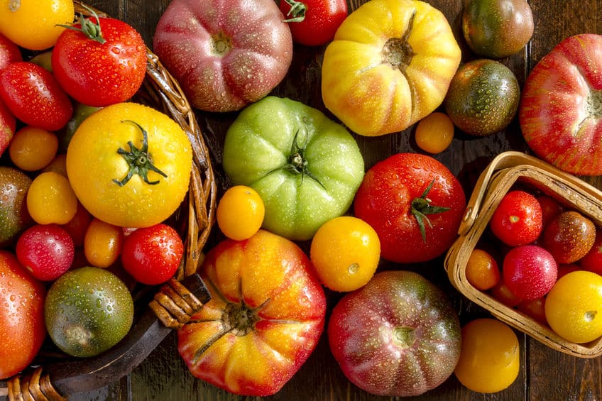 トマトは野菜?果物?モメた結果、裁判になったことがあるという雑学まとめ