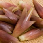 ミョウガを食べると「物忘れしやすくなる」は嘘？に関する雑学