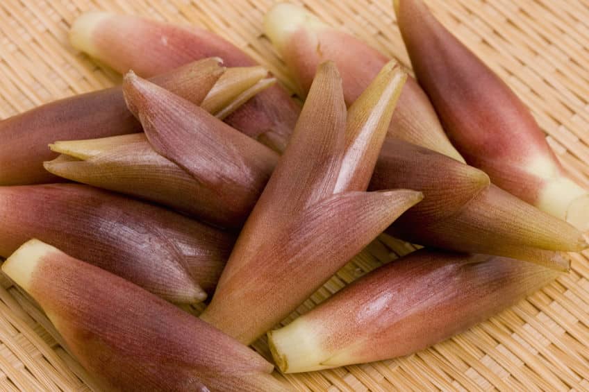ミョウガを食べると「物忘れしやすくなる」は嘘?に関する雑学