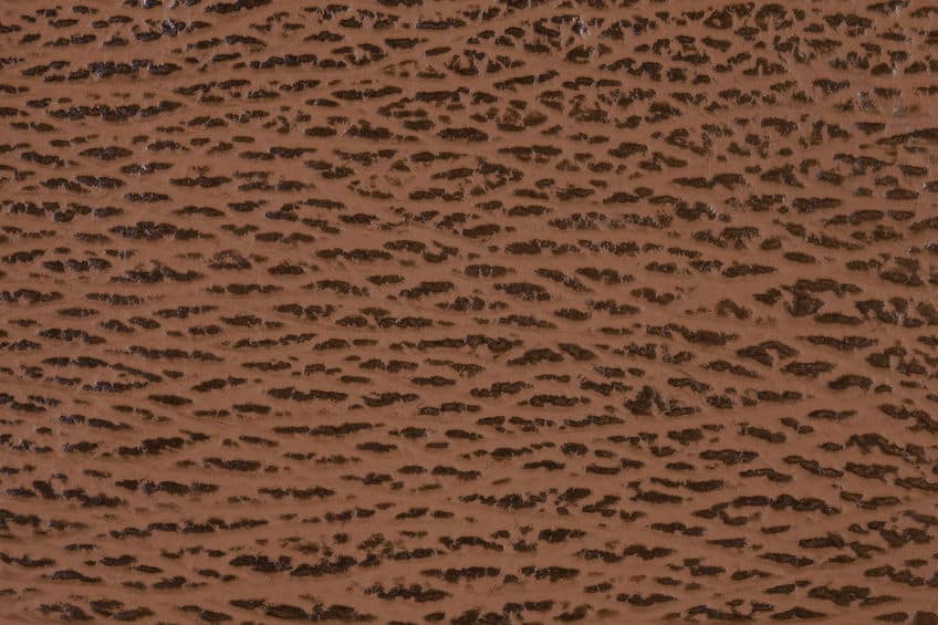 魅力が多い水棲生物の皮革についてのトリビア