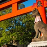 稲荷神社の神様は狐ではないという雑学