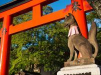 稲荷神社の神様は狐ではないという雑学
