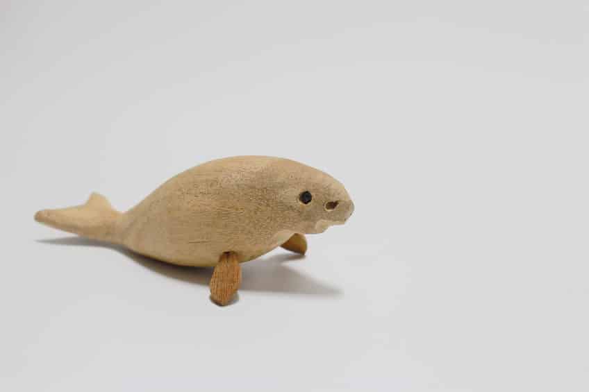 悲しき絶滅動物たちのエピソードについてのトリビア