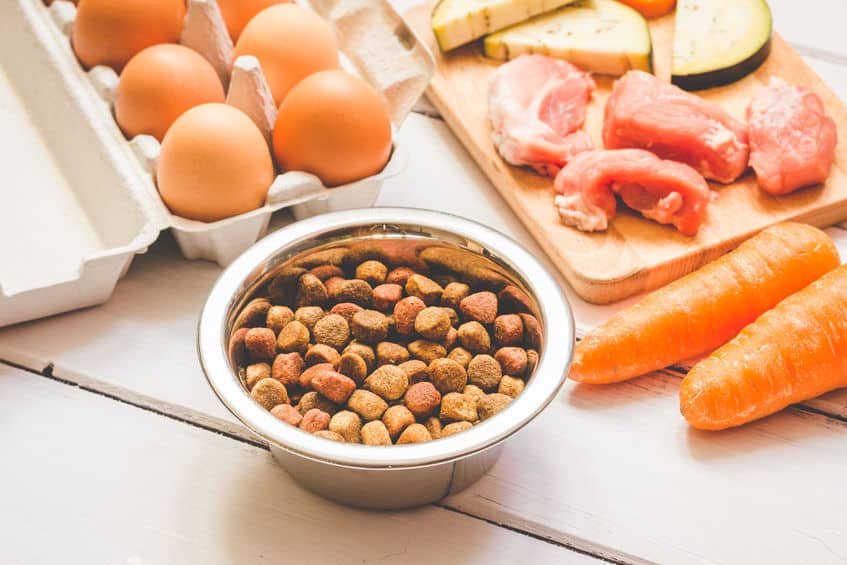 人間がペットフードを食べるのは問題ないのか?というトリビア