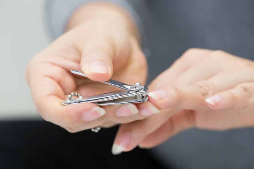 理想的な爪の長さは2~3mmというトリビア