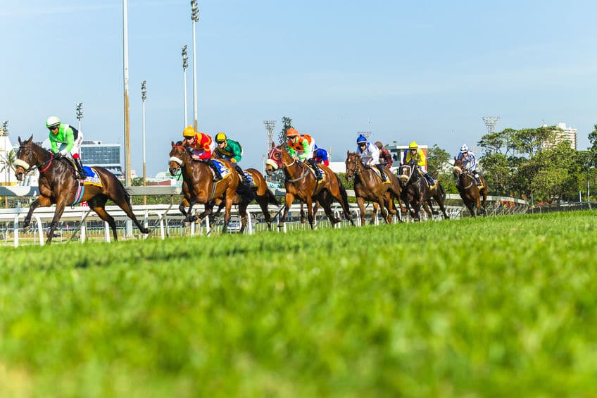 競馬で誰も当たらなかったら!?ちゃんとルールがあります。というトリビアまとめ