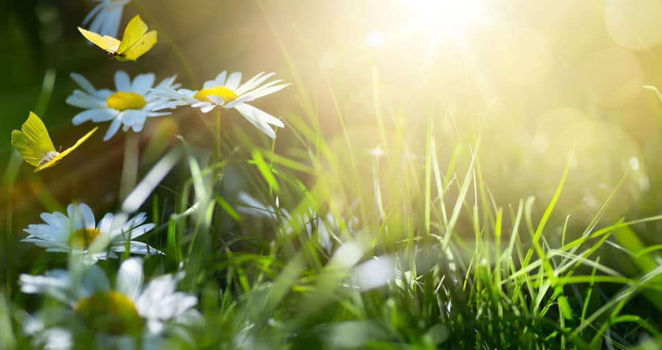 最も紫外線が危険な時期は5月?についてのトリビア
