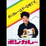 初めてレトルトカレーが発売されたのは大塚食品の「ボンカレー」という雑学