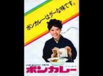 初めてレトルトカレーが発売されたのは大塚食品の「ボンカレー」という雑学