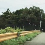 山口県のガードレールは一部が黄色という雑学