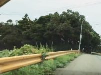 山口県のガードレールは一部が黄色という雑学
