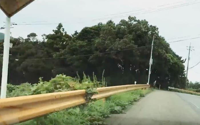 山口県のガードレールは一部が黄色という雑学