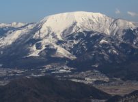 織田信長が作らせた薬草園があったという雑学
