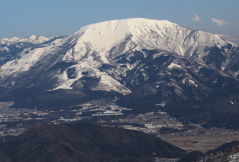 織田信長が作らせた薬草園があったという雑学