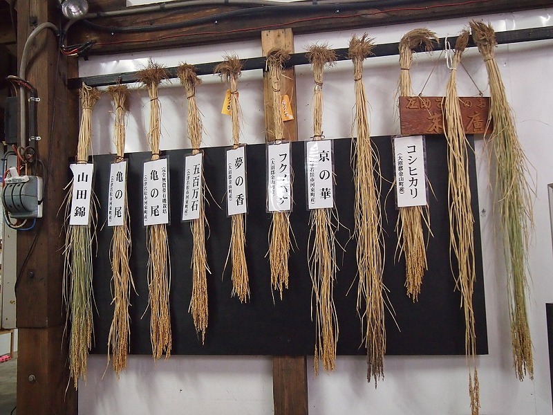 日本酒によく使われるのは専用の米についてのトリビア