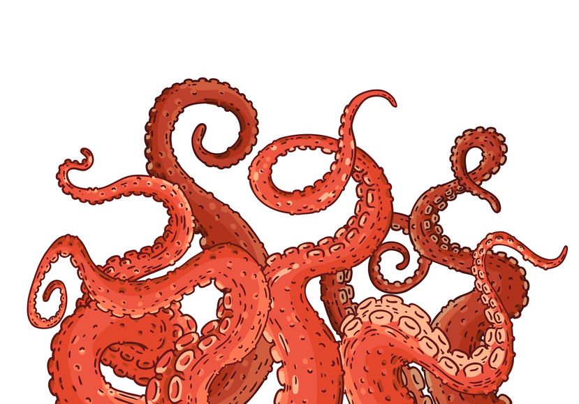 タコの足の驚異的な能力。敵襲→足を切断→再生…って無敵か!という雑学まとめ