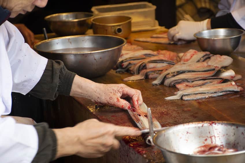 他にもたくさん！？食べると毒になるものについてのトリビア