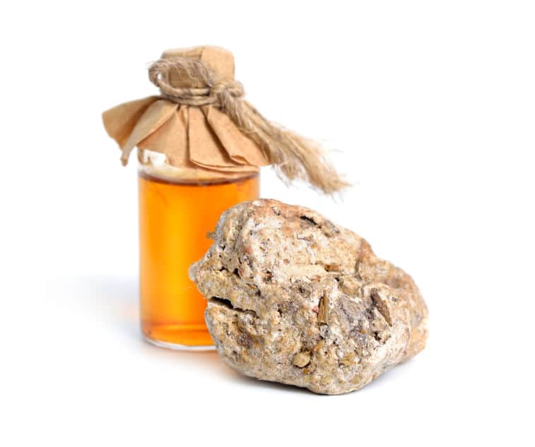 マッコウクジラの排泄物「龍涎香」についてのトリビア