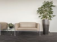 ほとんどの銀行に観葉植物がおいてある理由に関する雑学