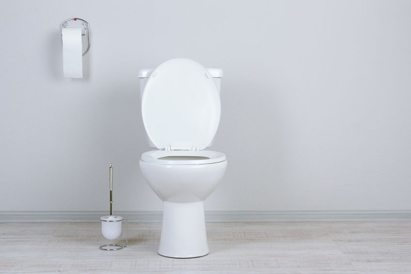 昔も今もひどすぎる、ベルサイユ宮殿のトイレ事情についてのトリビア