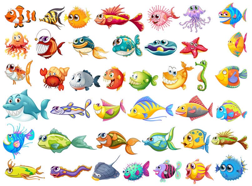 魚にも嗅覚と聴覚があるという雑学