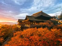 本当に「清水の舞台から飛び降りた」人がいるという雑学