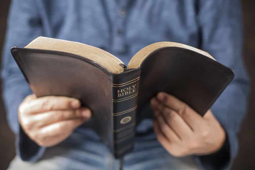 聖書に書かれていた「豚に真珠」についてのトリビア
