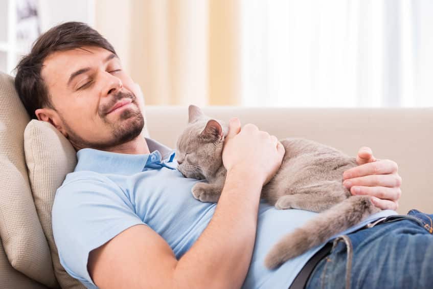ゴロゴロを聞くことで、人間にもよい効果がある！？というトリビア