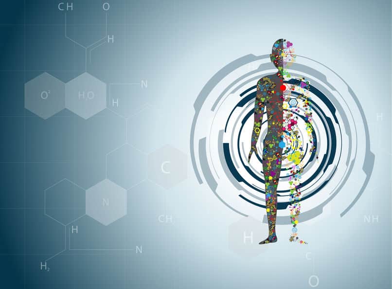 DNAは形成される生物の設計図についてのトリビア
