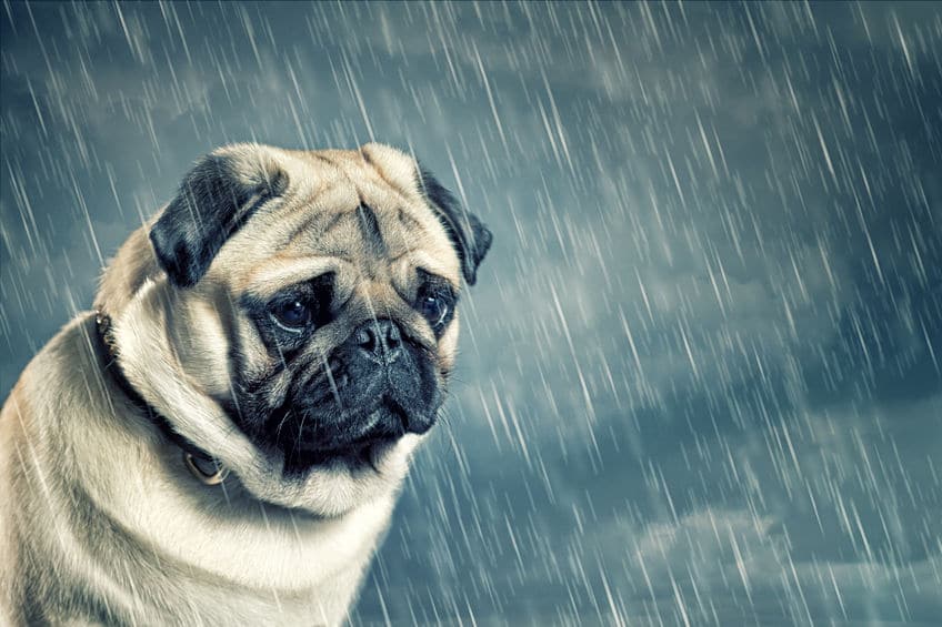 「時々雨」の定義に関する雑学
