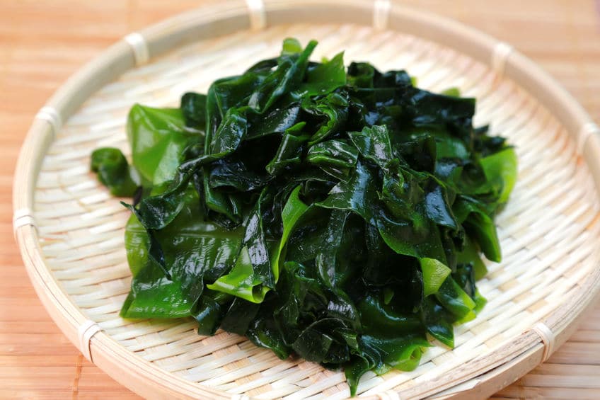 ある日「ワカメ」を大量にもらったらやることについてのトリビア