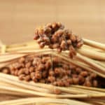 納豆の誕生秘話に関する雑学