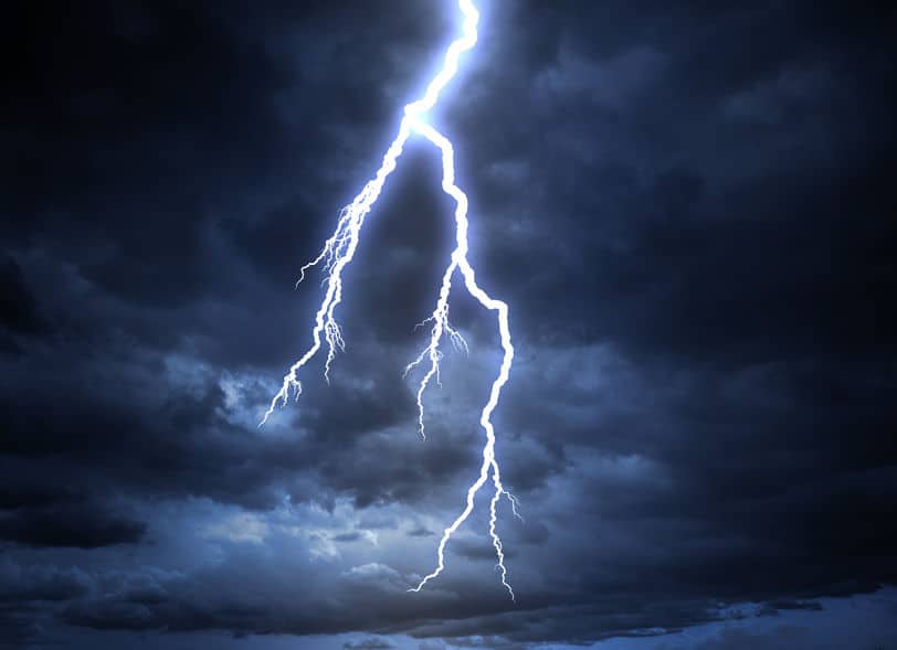 雷は「止まっては進む」という動きを繰り返しているというトリビア