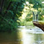 自然の中で水を得る方法に関する雑学
