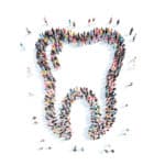 人の歯は何歳から抜け始める？に関する雑学