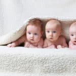 男の子と女の子が生まれる比率は？に関する雑学