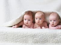 男の子と女の子が生まれる比率は？に関する雑学