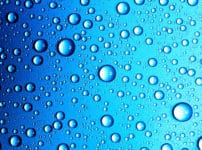 2億人に1人は水アレルギーという雑学