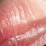 大正時代までマグロの「トロ」は捨てられていたという雑学