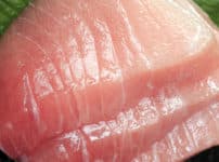 大正時代までマグロの「トロ」は捨てられていたという雑学