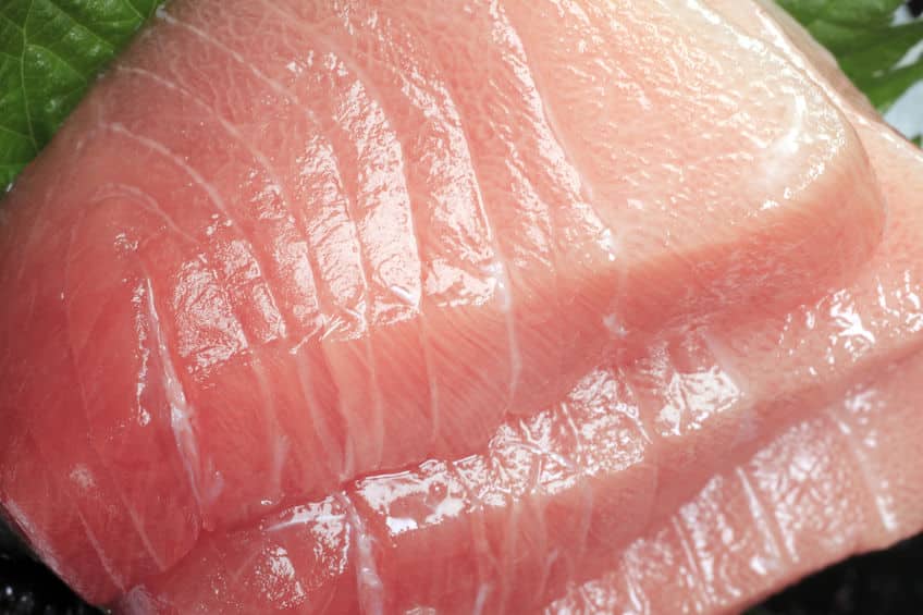 大正時代までマグロの「トロ」は捨てられていたという雑学
