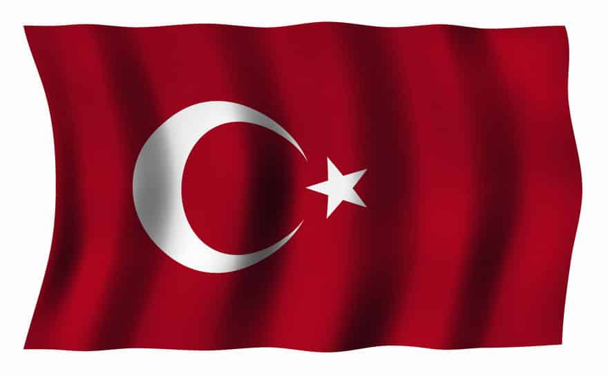 チューリップはトルコが原産国についてのトリビア