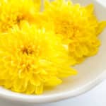 東北地方では菊の花は普通の食材であるという雑学
